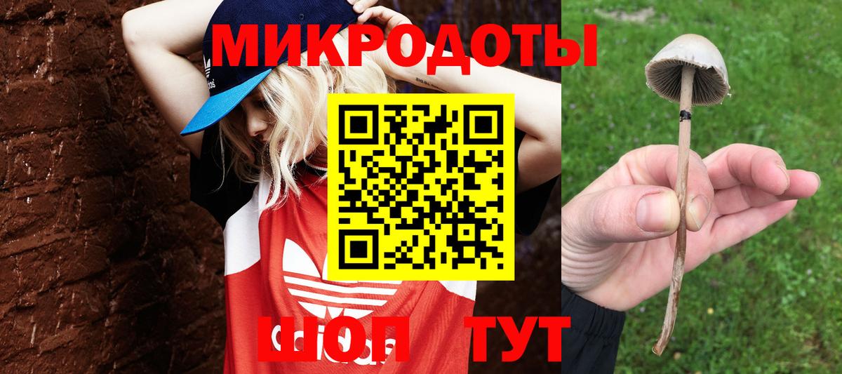 Минусинск  Псилоцибиновые грибы Magic Shrooms  Вход с VPN  Галлюциногенные грибы Magic Shrooms 
